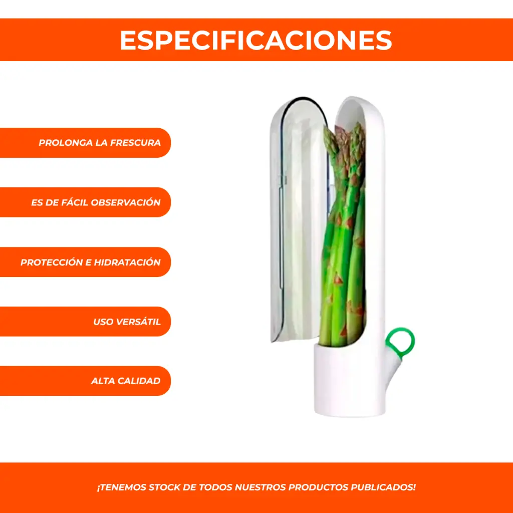 4.webp