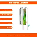 4.webp