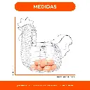 2.webp