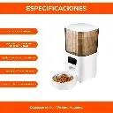 4.webp