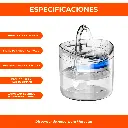 4.webp