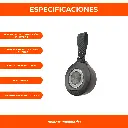 4.webp