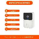 4.webp