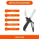 4.webp