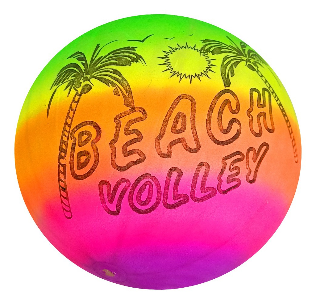 Pelota de Playa Multicolor